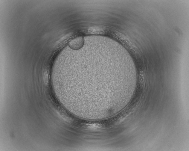 X0000115040741200911161527