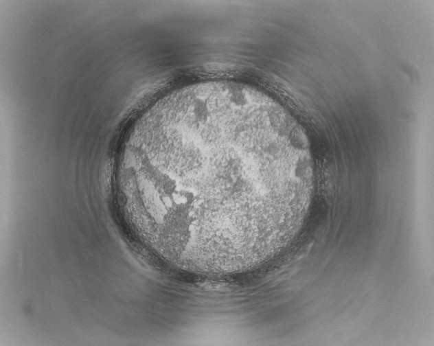 X0000115040742200911161527