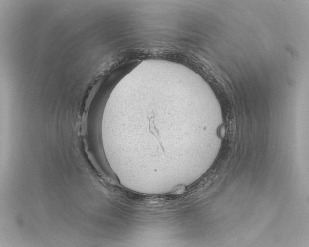 X0000115040750200911161527