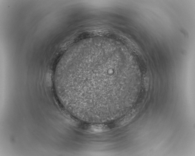 X0000115040757200911161527