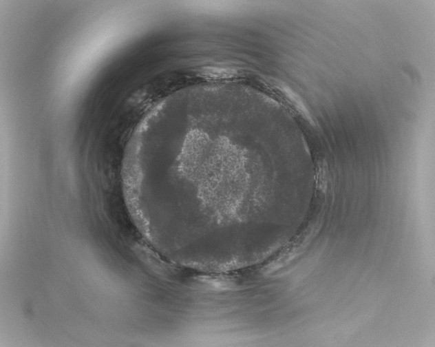 X0000115040763200911161527