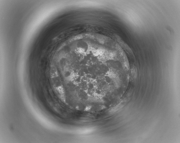 X0000115040765200911161527