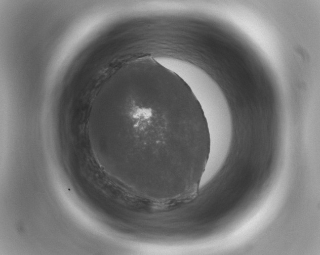 X0000115040766200911161527