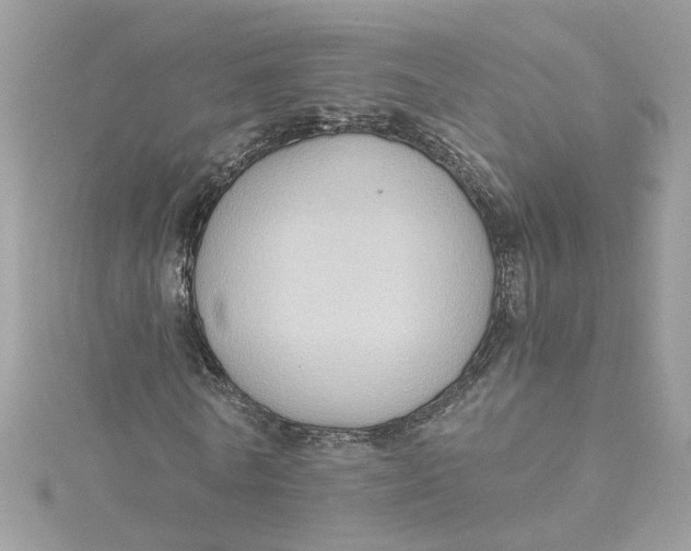 X0000115040770200911161526