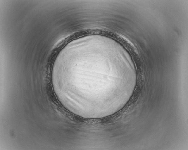 X0000115040775200911161526