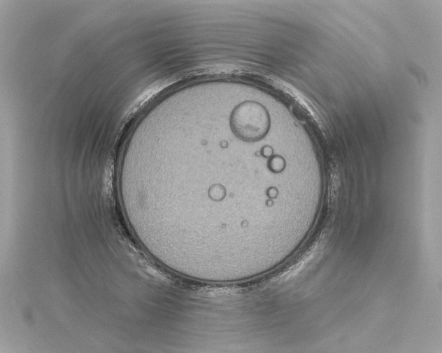 X0000115040778200911161526