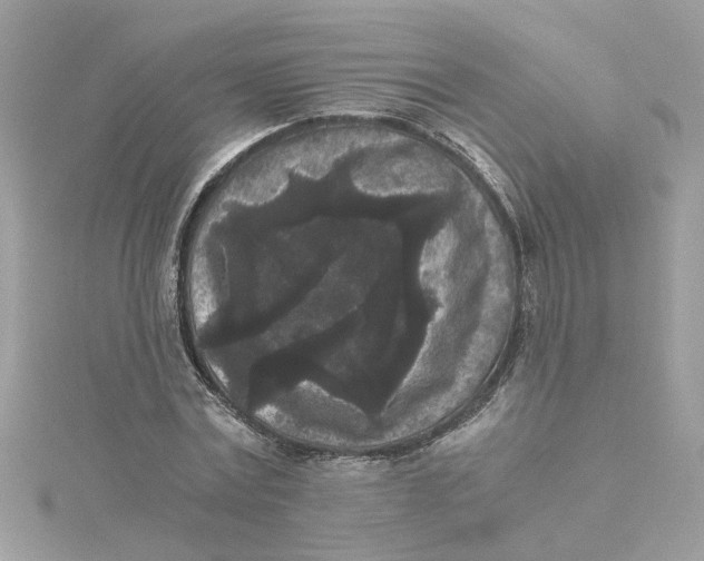 X0000115040779200911161526