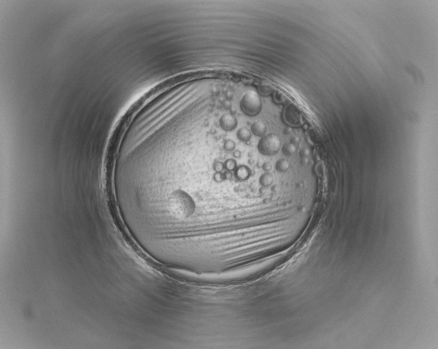 X0000115040780200911161526