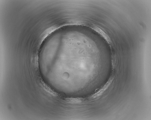 X0000115040781200911161526