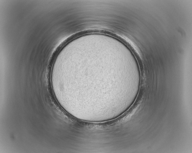 X0000115040783200911161526