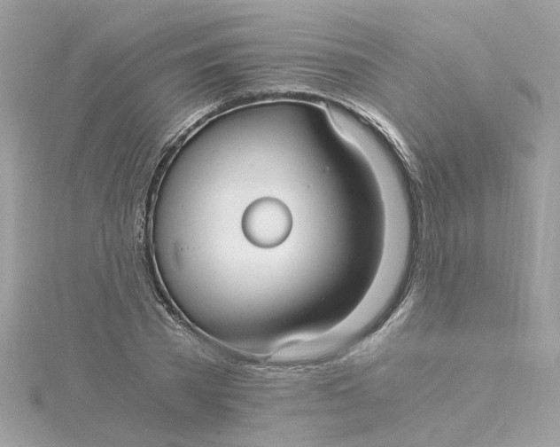 X0000115040785200911161526