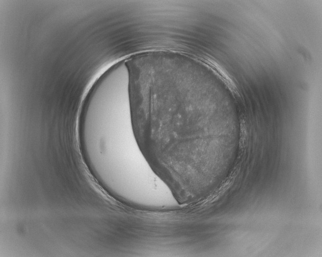 X0000115040788200911161526