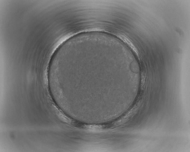 X0000115040789200911161526