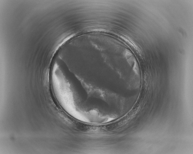 X0000115040790200911161526