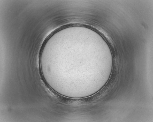 X0000115040791200911161526