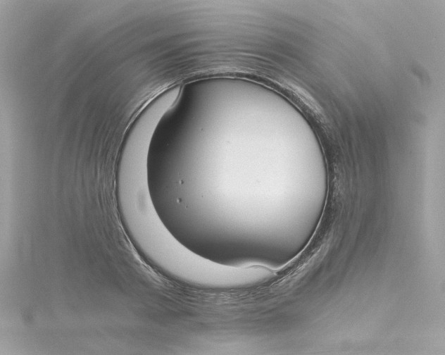 X0000115040793200911161526