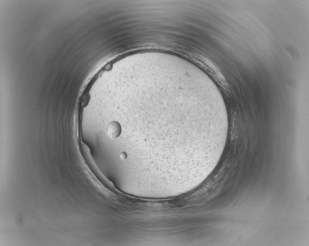 X0000115040796200911161526