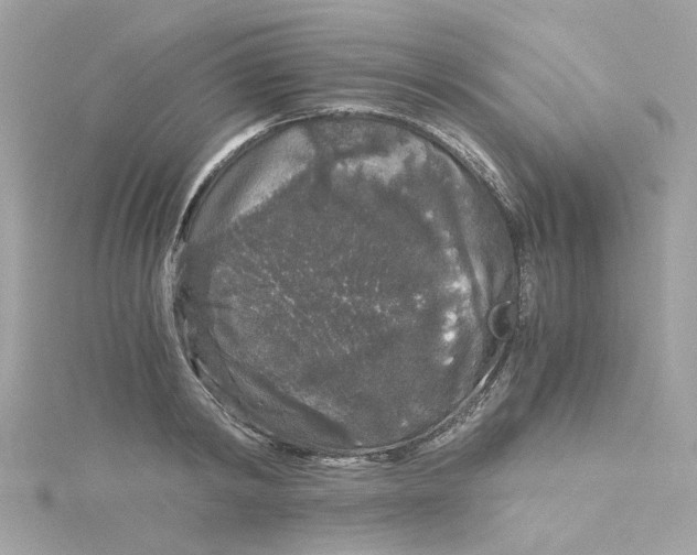 X0000115040798200911161526