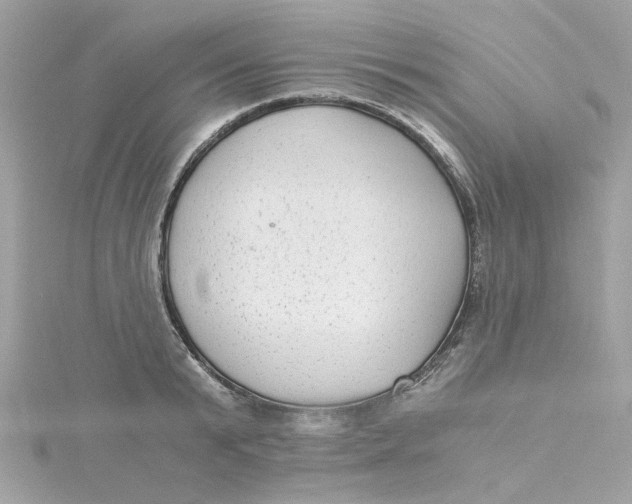 X0000115040799200911161526