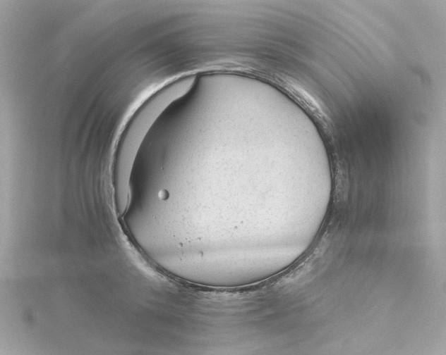 X0000115040800200911161526