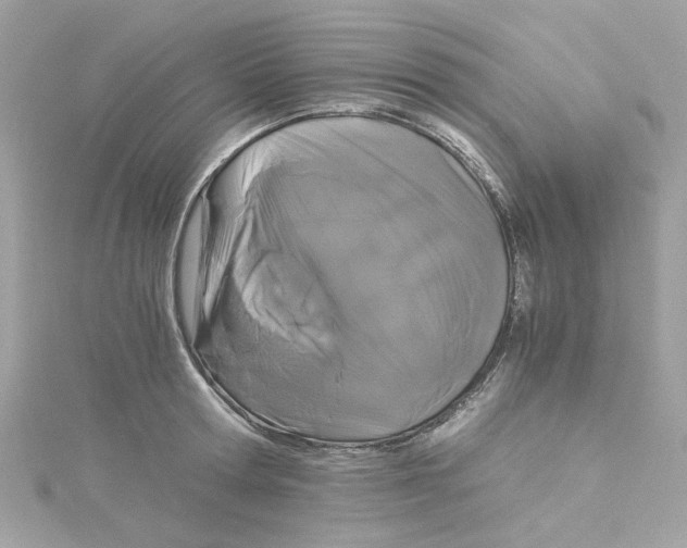 X0000115040802200911161526