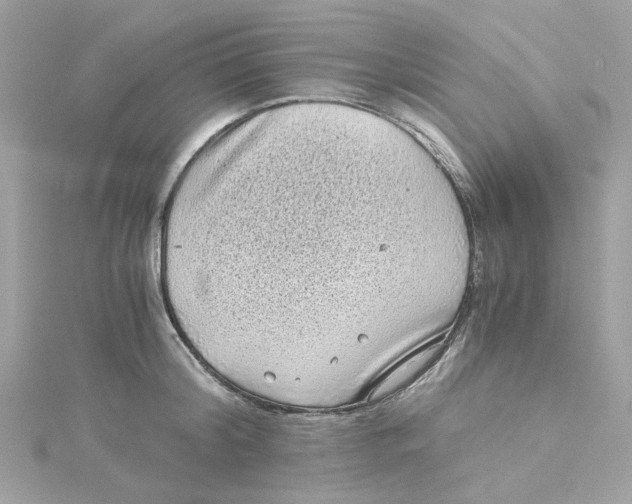 X0000115040804200911161526