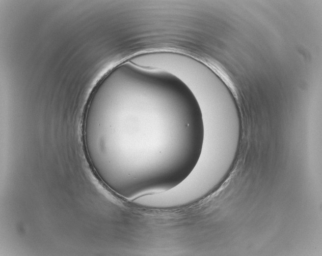 X0000115040805200911161526