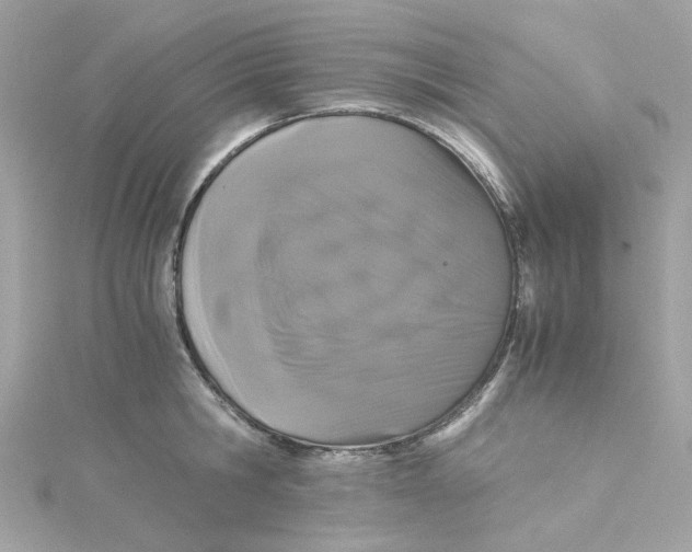 X0000115040806200911161526