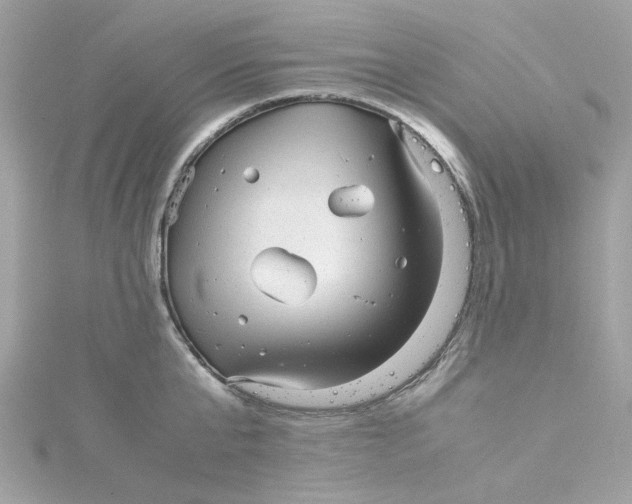 X0000115040807200911161526