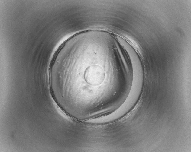 X0000115040808200911161526