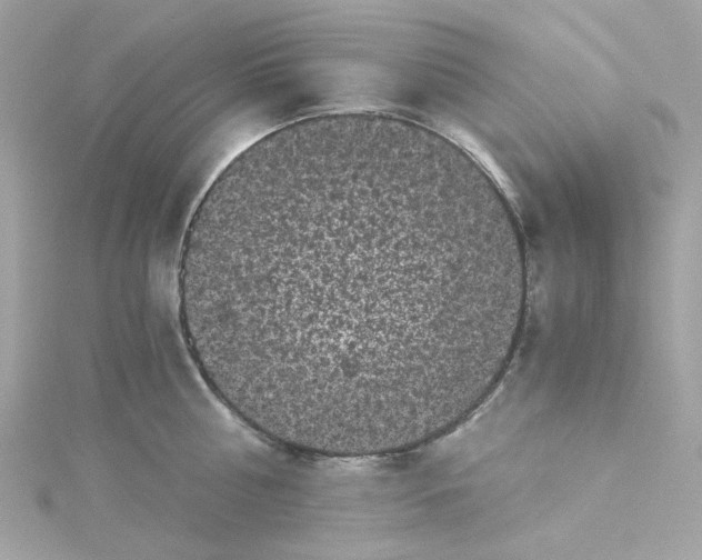 X0000115040810200911161526