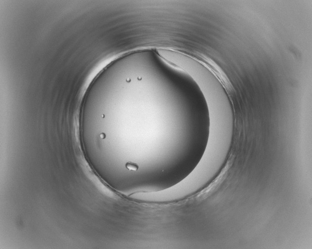 X0000115040812200911161526