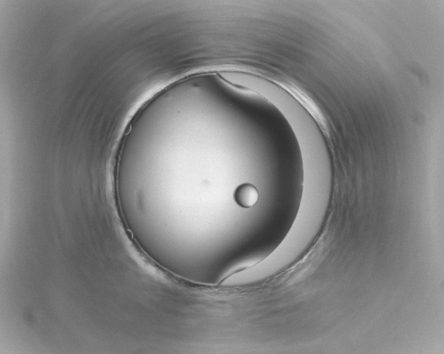 X0000115040813200911161526