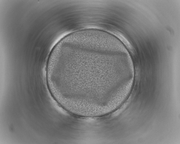 X0000115040814200911161526