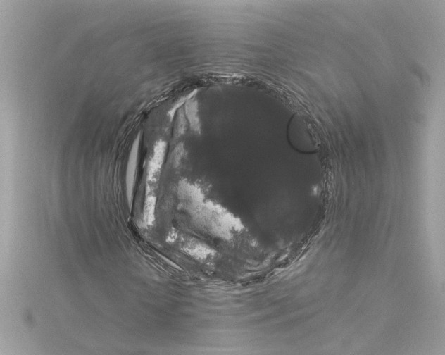 X0000115040818200911161525