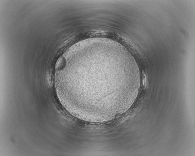 X0000115040819200911161525