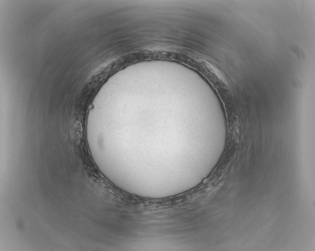 X0000115040821200911161525