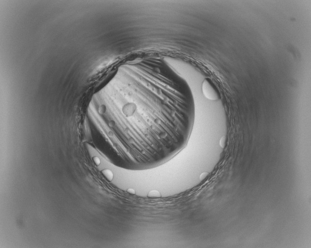 X0000115040824200911161525