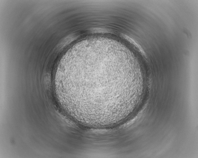 X0000115040825200911161525