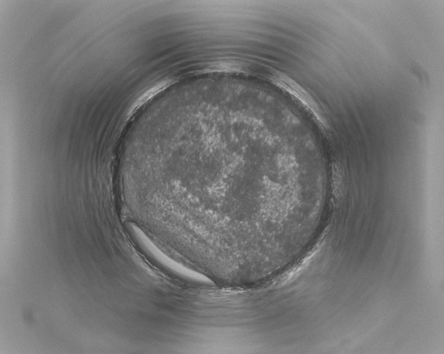 X0000115040826200911161525