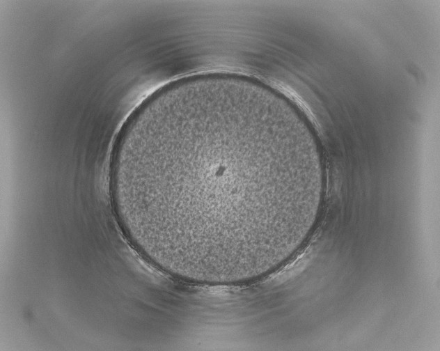 X0000115040828200911161525