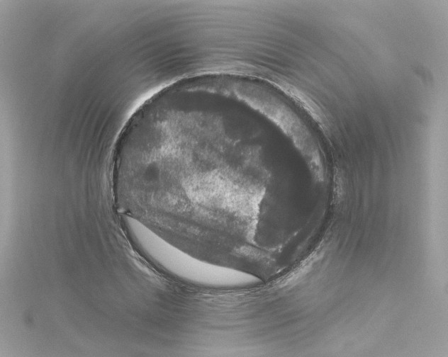 X0000115040830200911161525