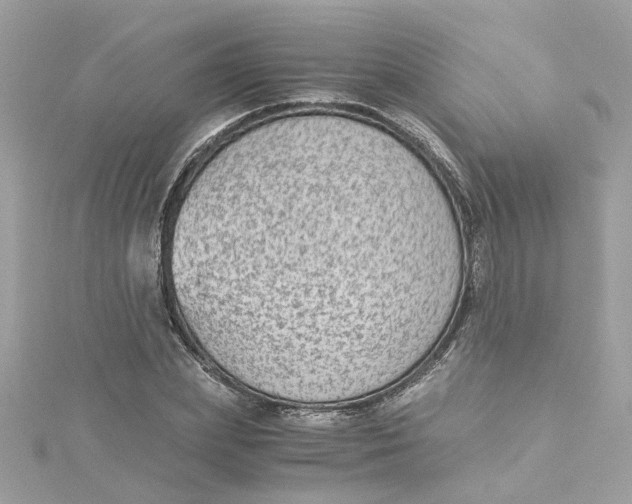 X0000115040831200911161525