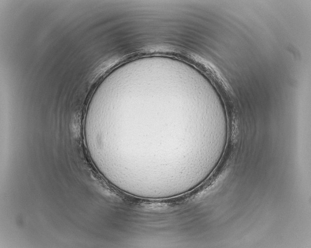 X0000115040833200911161525