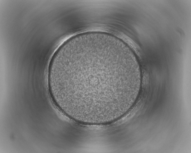 X0000115040836200911161525