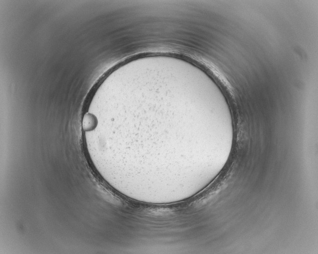 X0000115040837200911161525