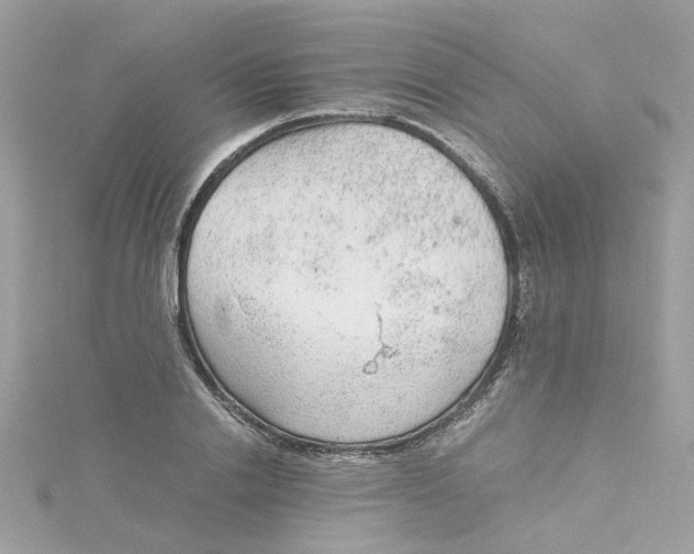 X0000115040838200911161525