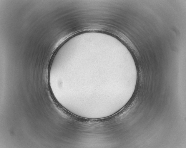 X0000115040842200911161525