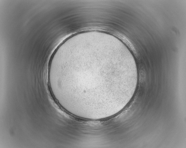 X0000115040844200911161525