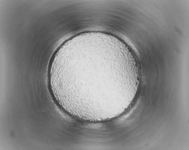 X0000115040845200911161525